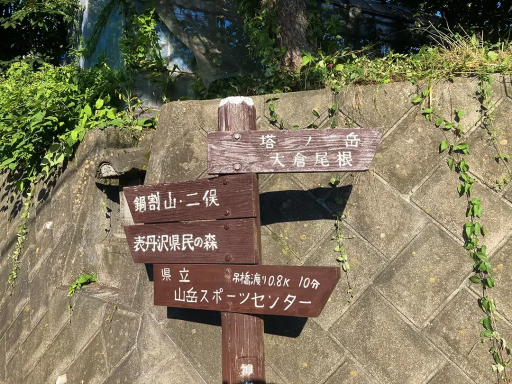 丹沢,鍋割山,塔ノ岳,丹沢山,蛭ヶ岳へ登山
