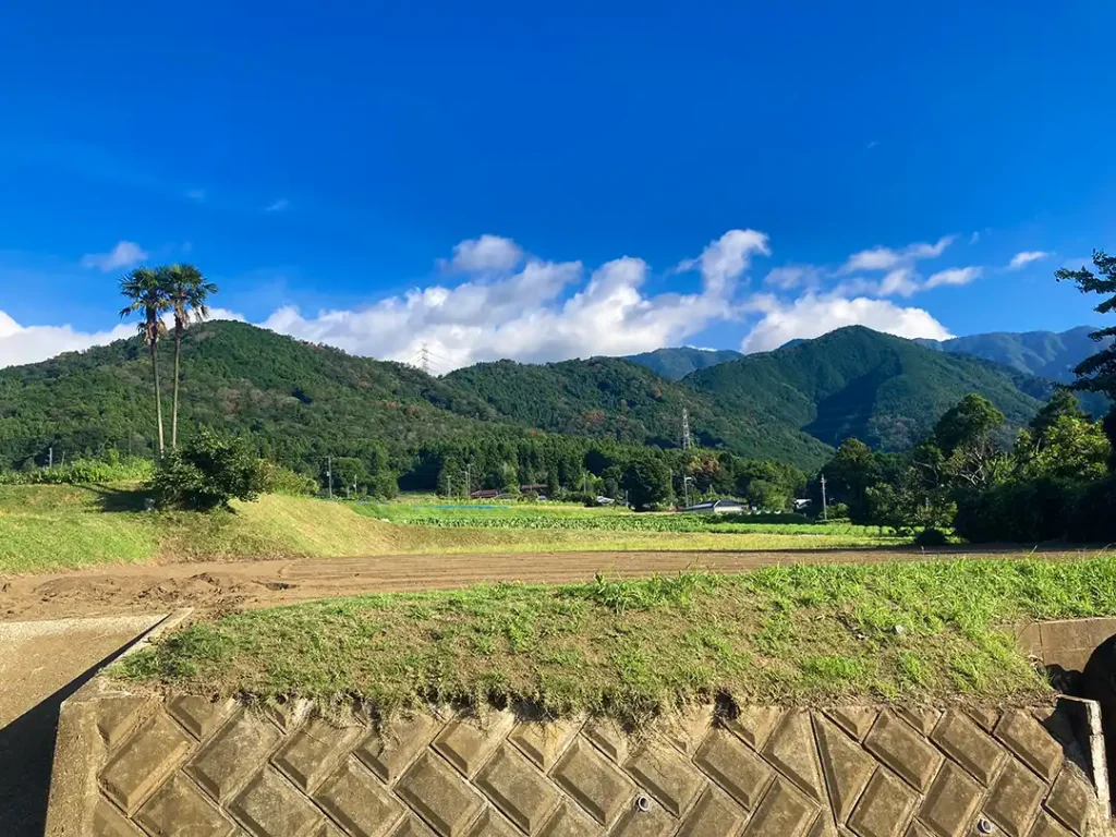 丹沢,鍋割山,塔ノ岳,丹沢山,蛭ヶ岳へ登山