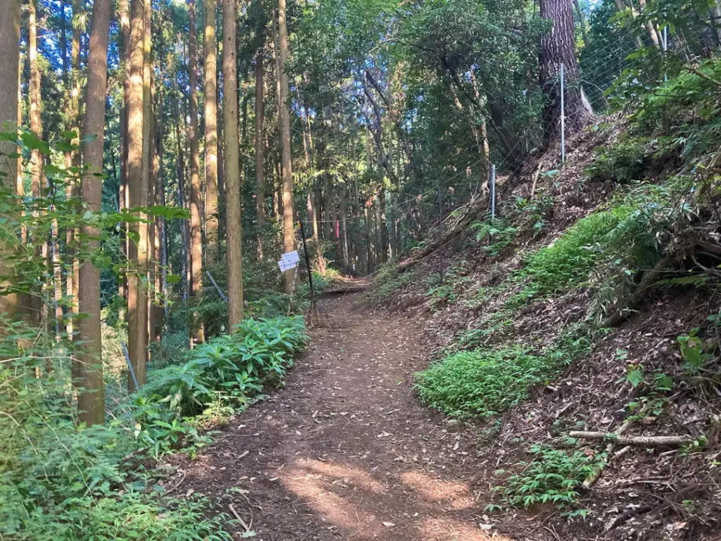 丹沢,鍋割山,塔ノ岳,丹沢山,蛭ヶ岳へ登山