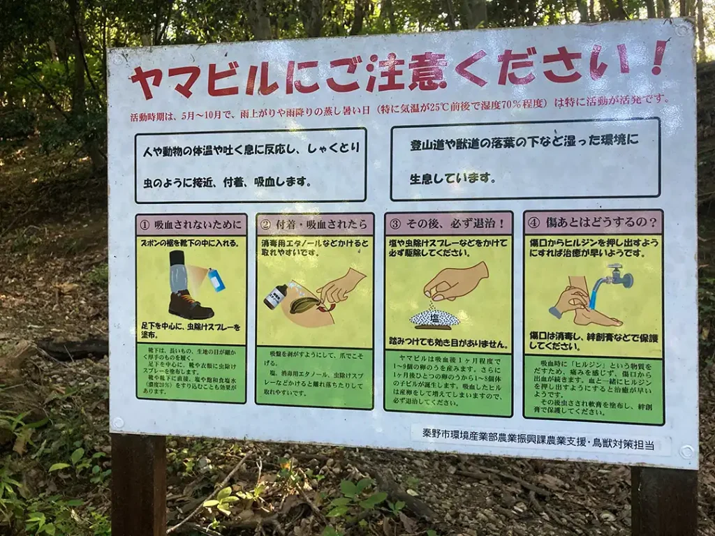 丹沢,鍋割山,塔ノ岳,丹沢山,蛭ヶ岳へ登山