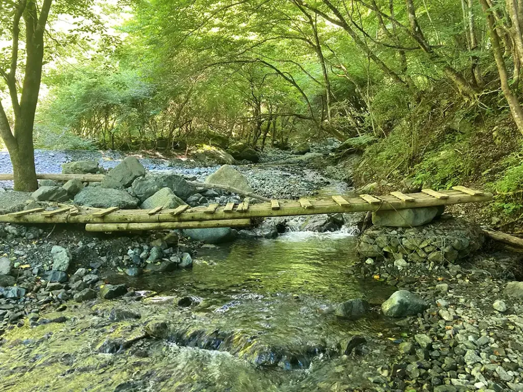 丹沢,鍋割山,塔ノ岳,丹沢山,蛭ヶ岳へ登山