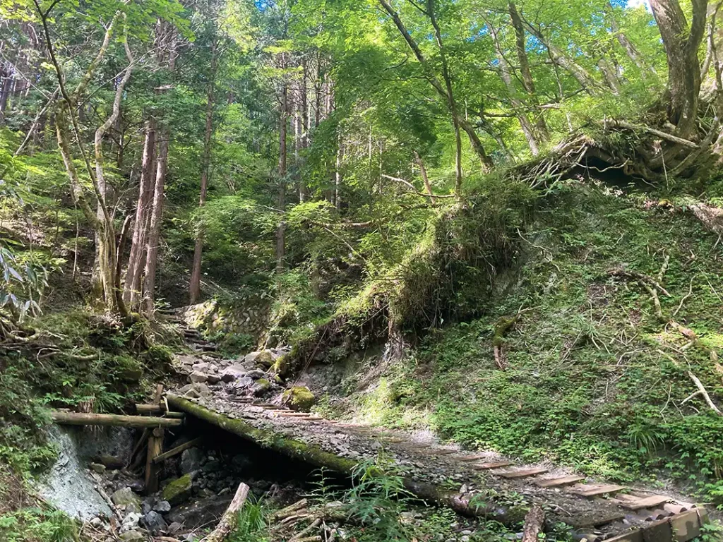 丹沢,鍋割山,塔ノ岳,丹沢山,蛭ヶ岳へ登山