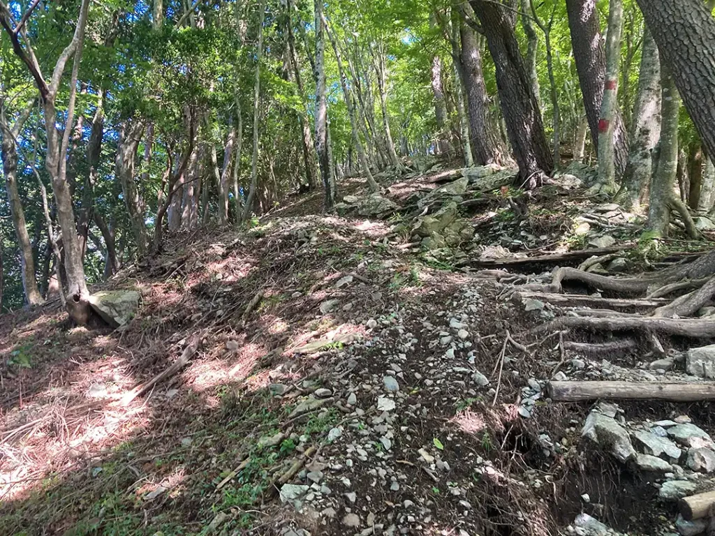 丹沢,鍋割山,塔ノ岳,丹沢山,蛭ヶ岳へ登山