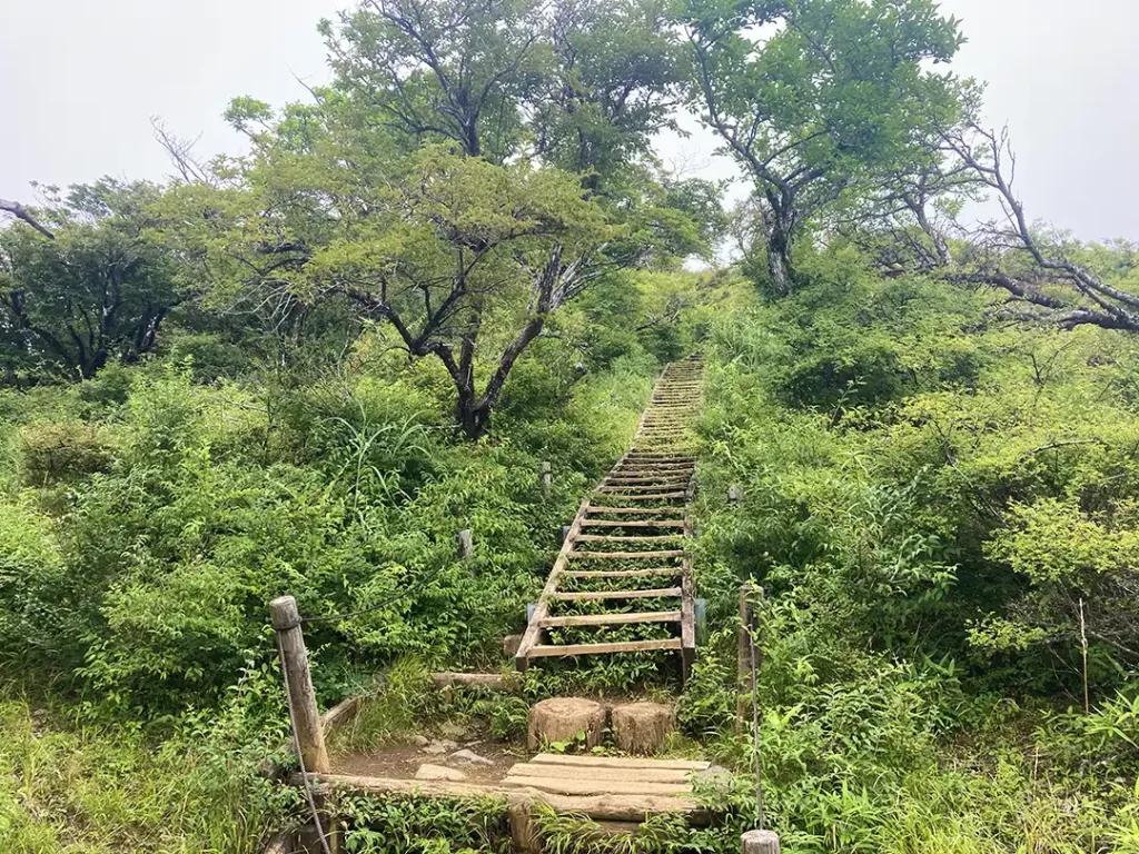 丹沢,鍋割山,塔ノ岳,丹沢山,蛭ヶ岳へ登山