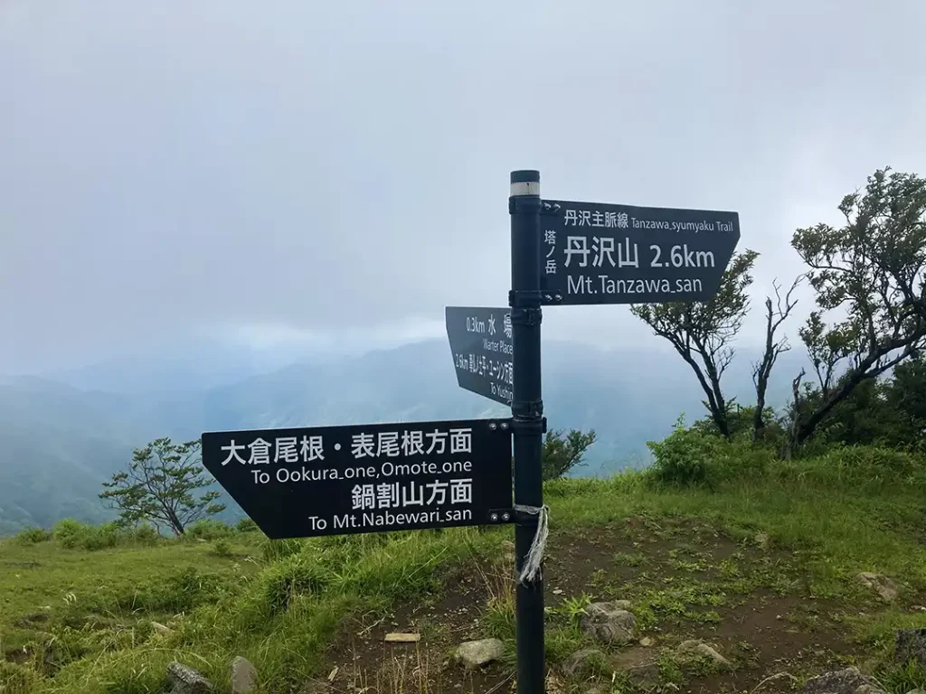 丹沢,鍋割山,塔ノ岳,丹沢山,蛭ヶ岳へ登山