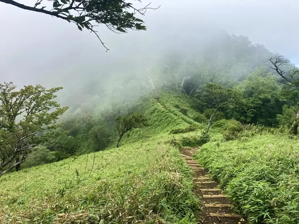 丹沢,鍋割山,塔ノ岳,丹沢山,蛭ヶ岳へ登山
