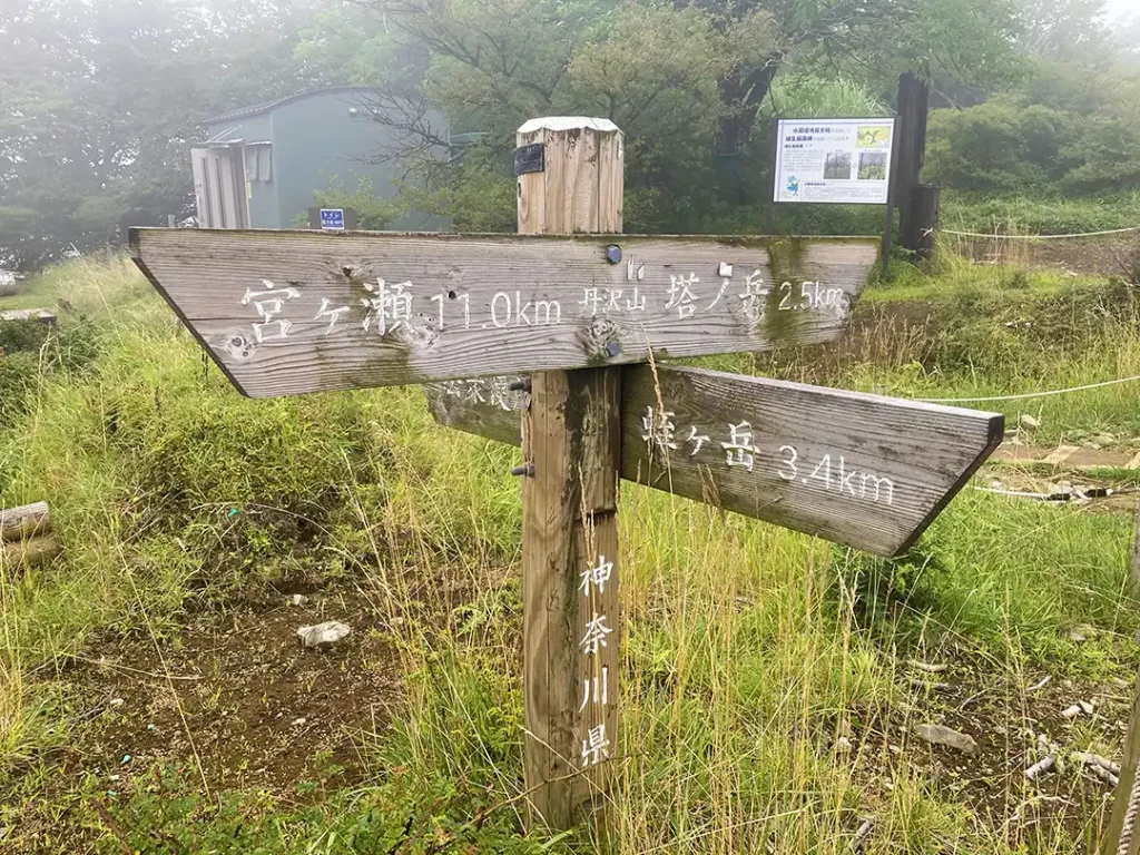 丹沢,鍋割山,塔ノ岳,丹沢山,蛭ヶ岳へ登山