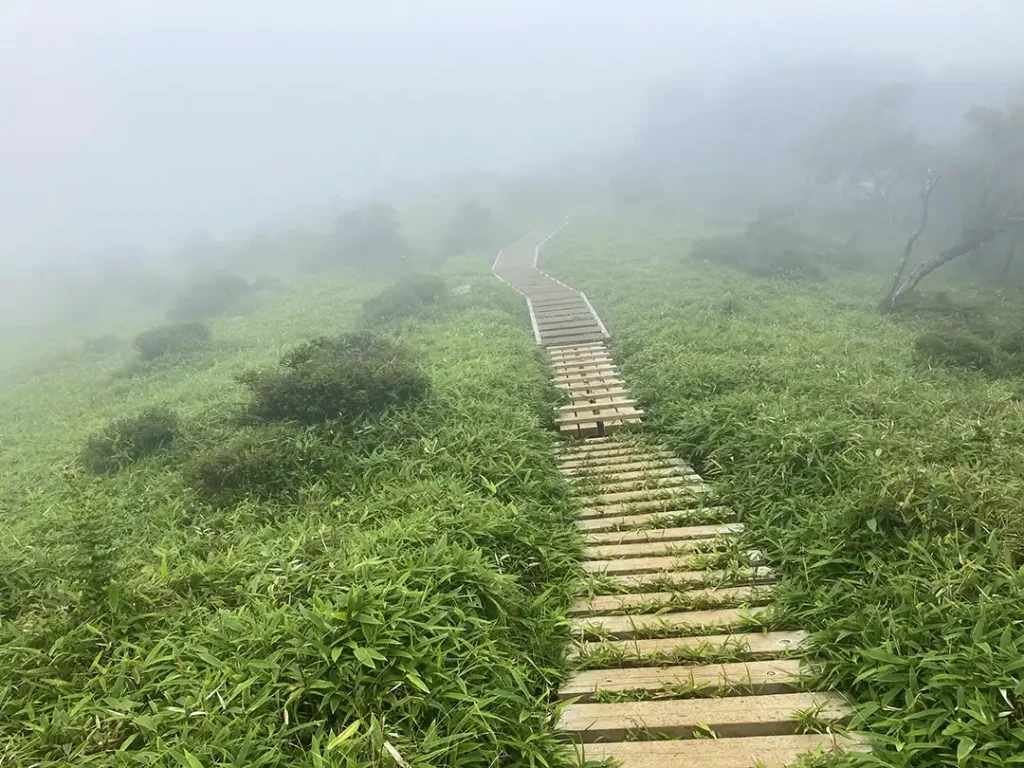 丹沢,鍋割山,塔ノ岳,丹沢山,蛭ヶ岳へ登山