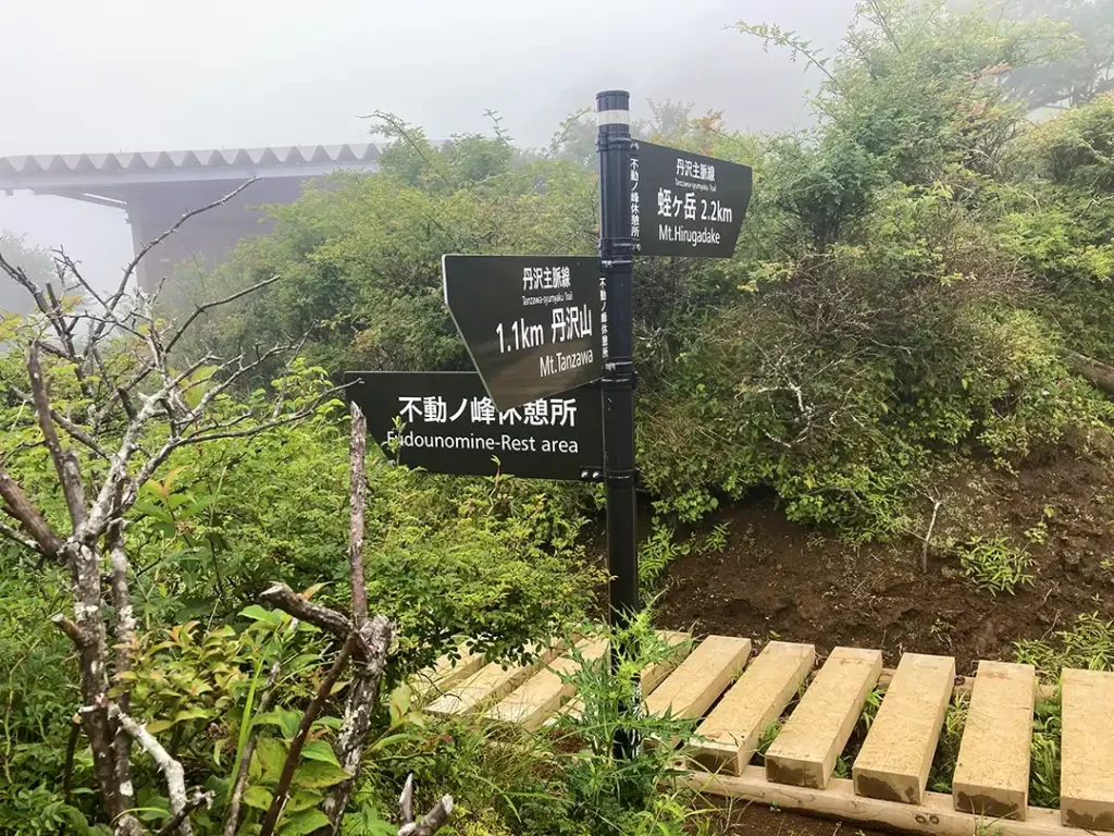 丹沢,鍋割山,塔ノ岳,丹沢山,蛭ヶ岳へ登山
