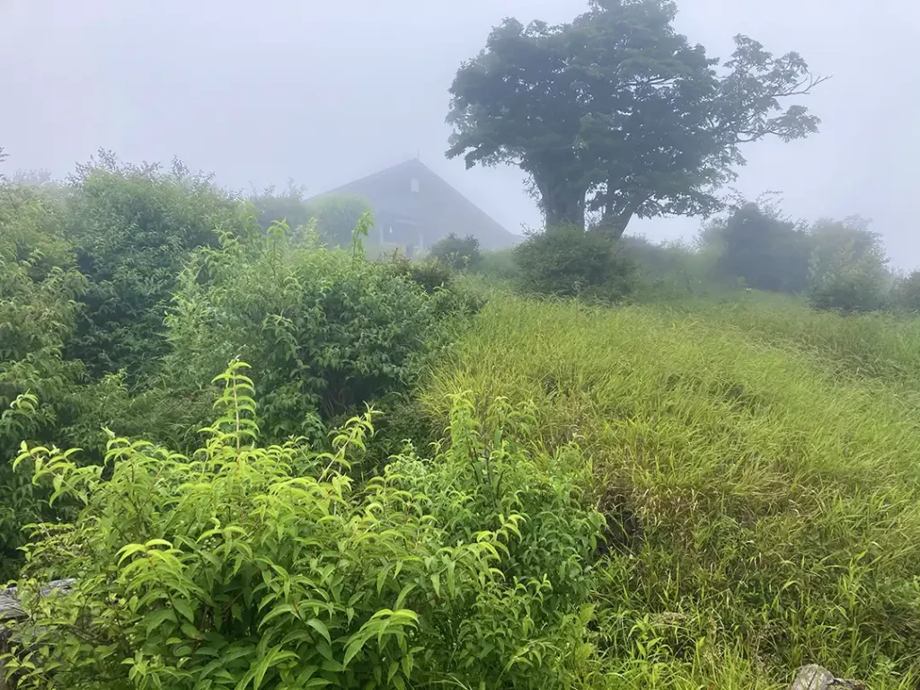丹沢,鍋割山,塔ノ岳,丹沢山,蛭ヶ岳へ登山