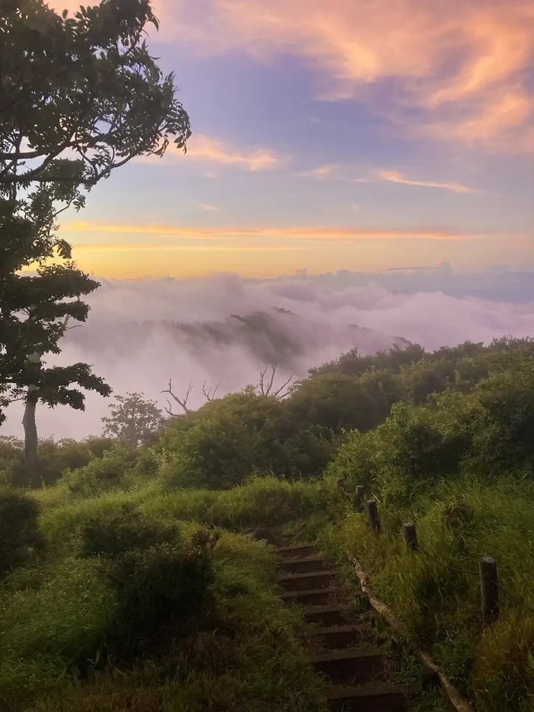 丹沢,鍋割山,塔ノ岳,丹沢山,蛭ヶ岳へ登山