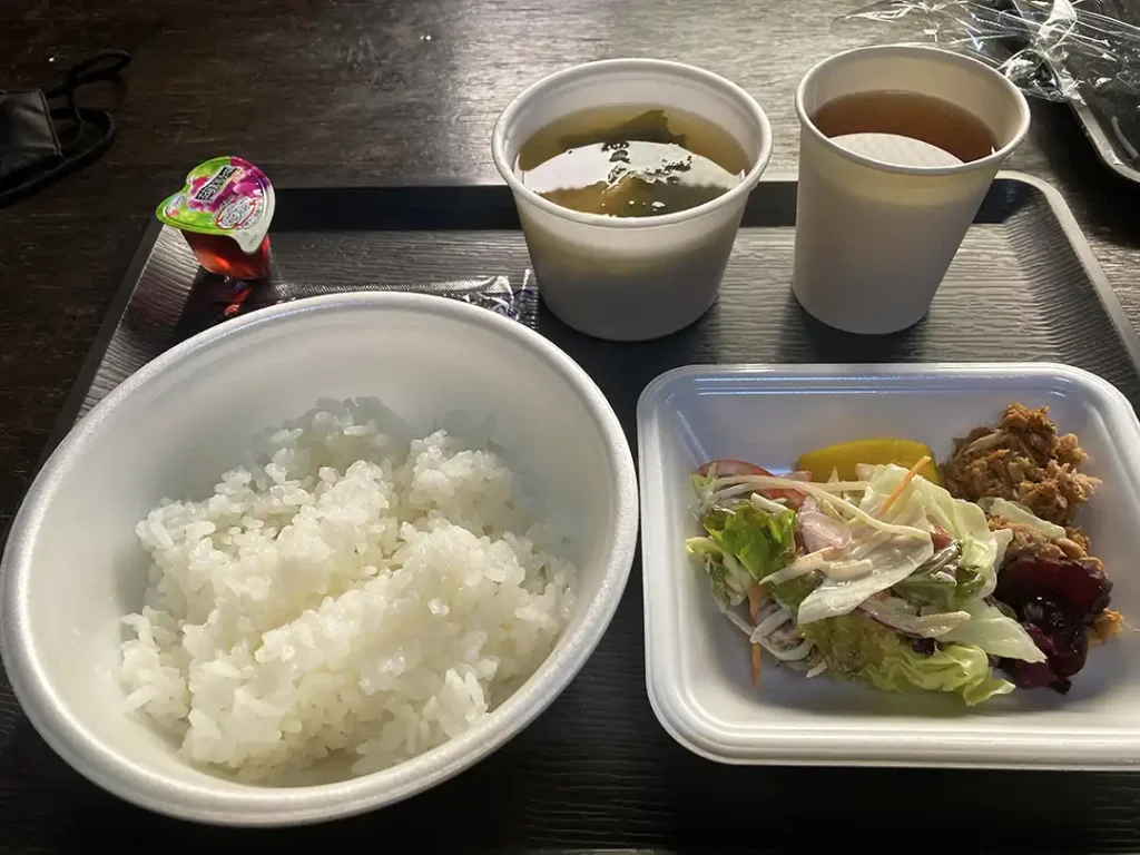 丹沢,鍋割山,塔ノ岳,丹沢山,蛭ヶ岳へ登山