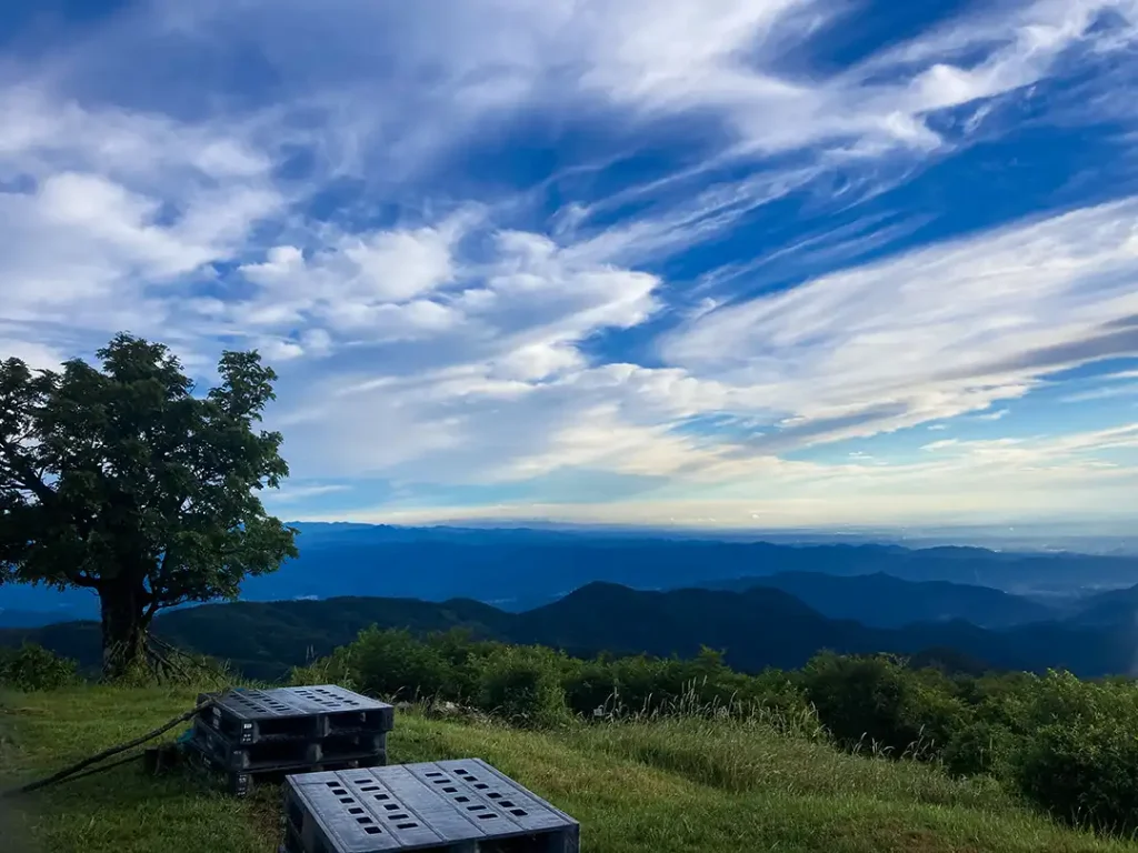 丹沢,鍋割山,塔ノ岳,丹沢山,蛭ヶ岳へ登山