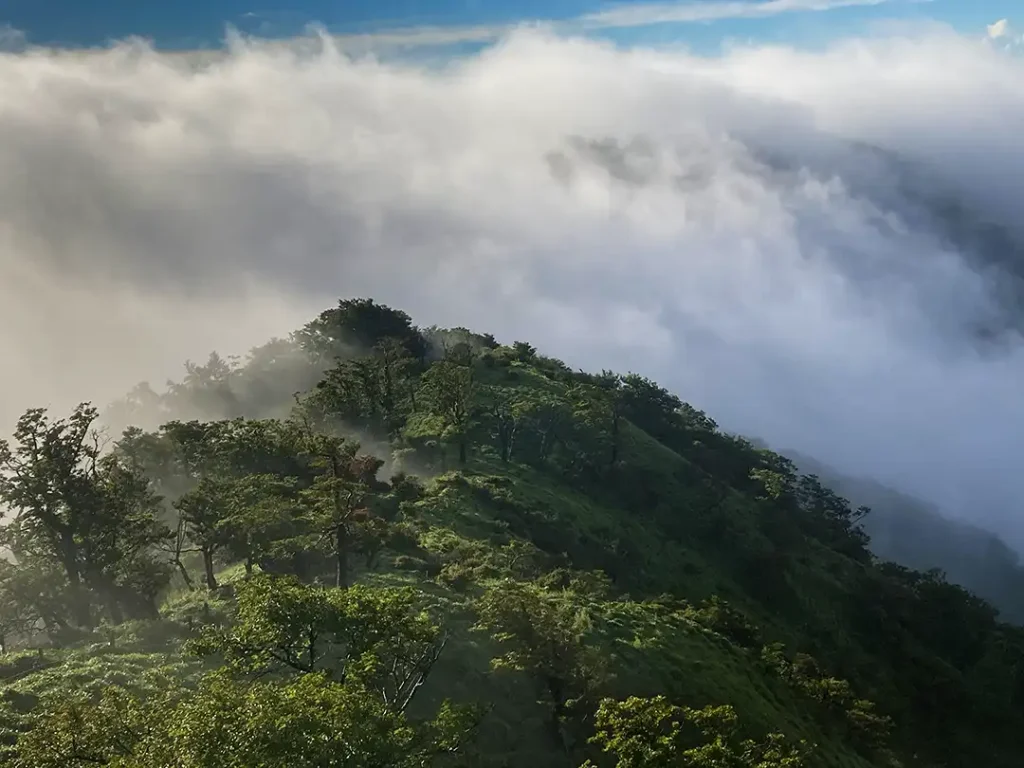 丹沢,鍋割山,塔ノ岳,丹沢山,蛭ヶ岳へ登山