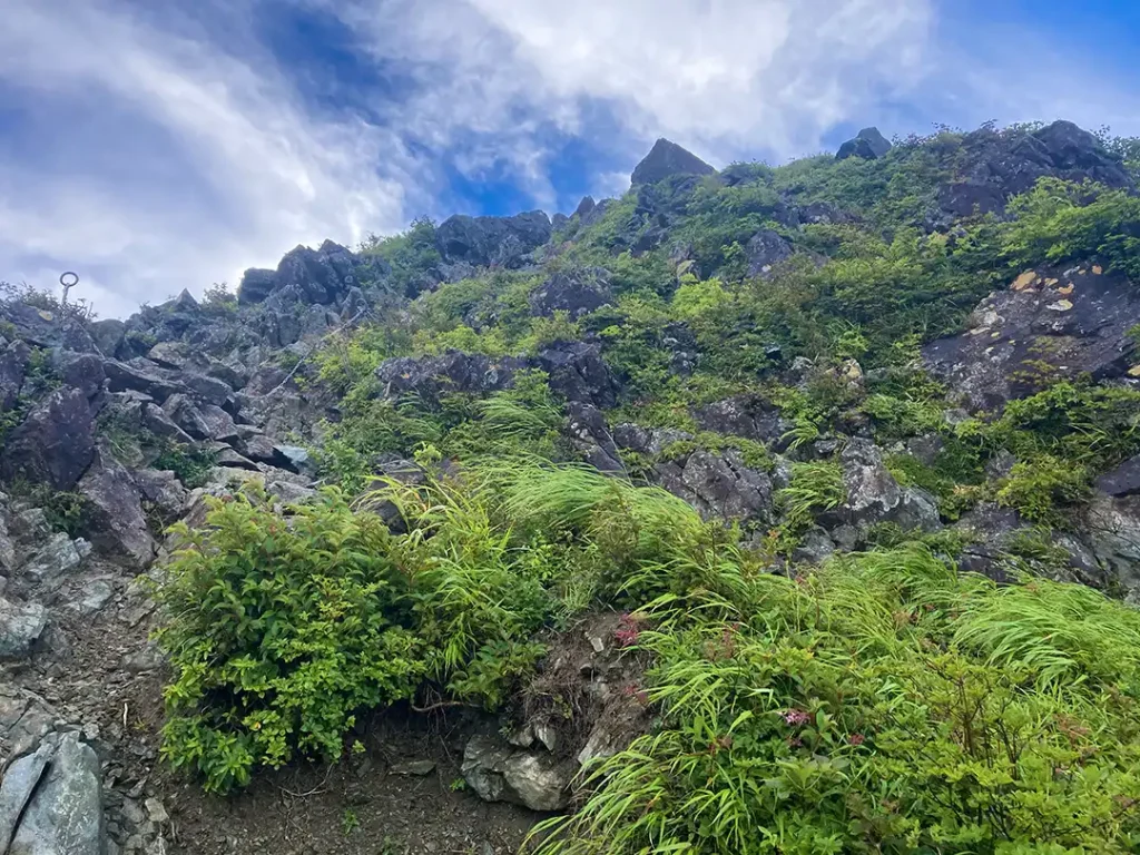 丹沢,鍋割山,塔ノ岳,丹沢山,蛭ヶ岳へ登山