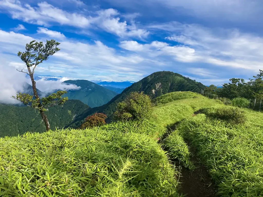 丹沢,鍋割山,塔ノ岳,丹沢山,蛭ヶ岳へ登山