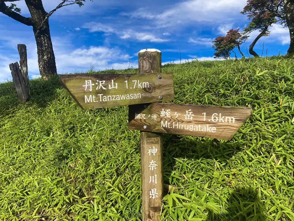 丹沢,鍋割山,塔ノ岳,丹沢山,蛭ヶ岳へ登山