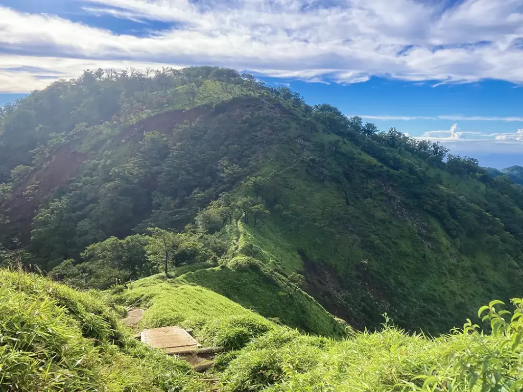 丹沢,鍋割山,塔ノ岳,丹沢山,蛭ヶ岳へ登山