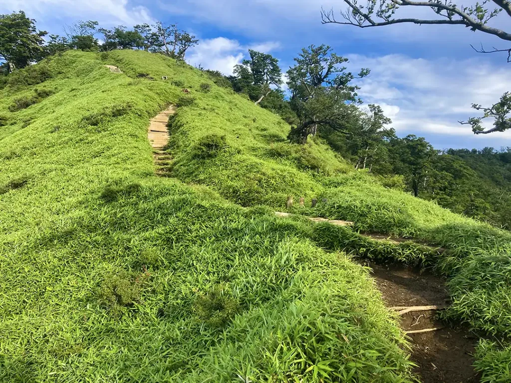 丹沢,鍋割山,塔ノ岳,丹沢山,蛭ヶ岳へ登山