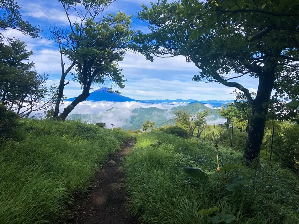 丹沢,鍋割山,塔ノ岳,丹沢山,蛭ヶ岳へ登山