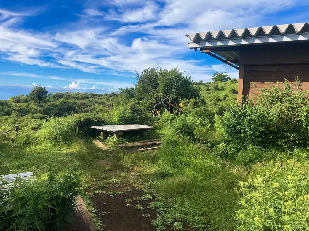 丹沢,鍋割山,塔ノ岳,丹沢山,蛭ヶ岳へ登山