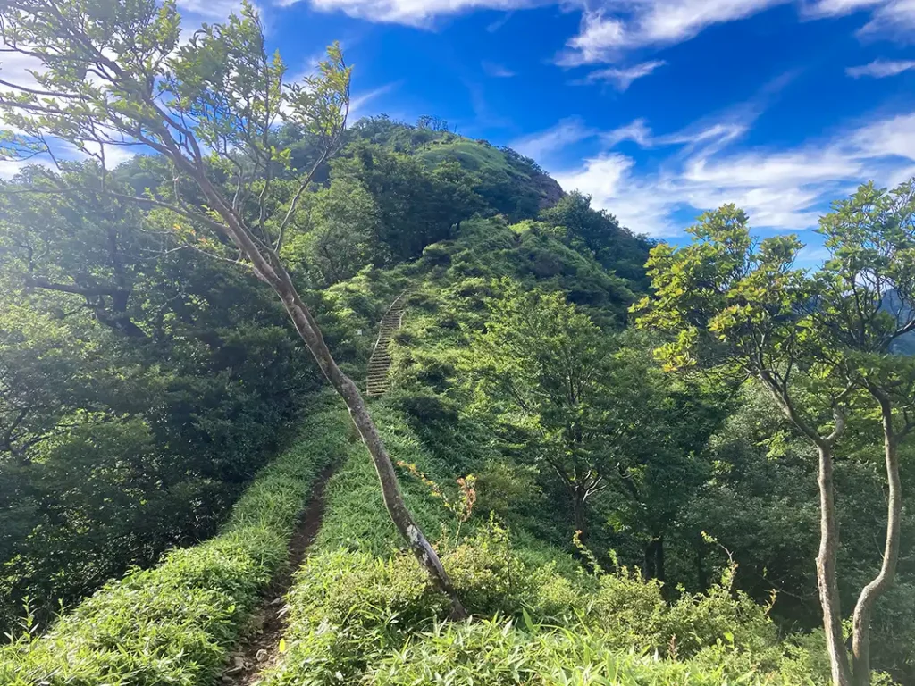 丹沢,鍋割山,塔ノ岳,丹沢山,蛭ヶ岳へ登山