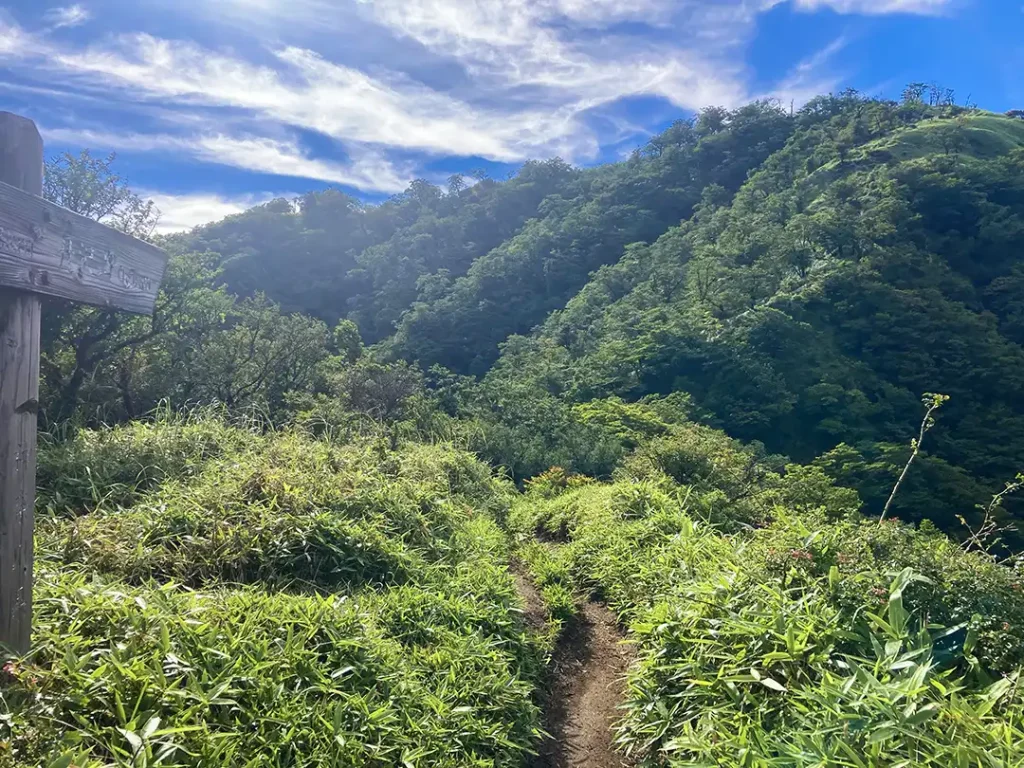 丹沢,鍋割山,塔ノ岳,丹沢山,蛭ヶ岳へ登山