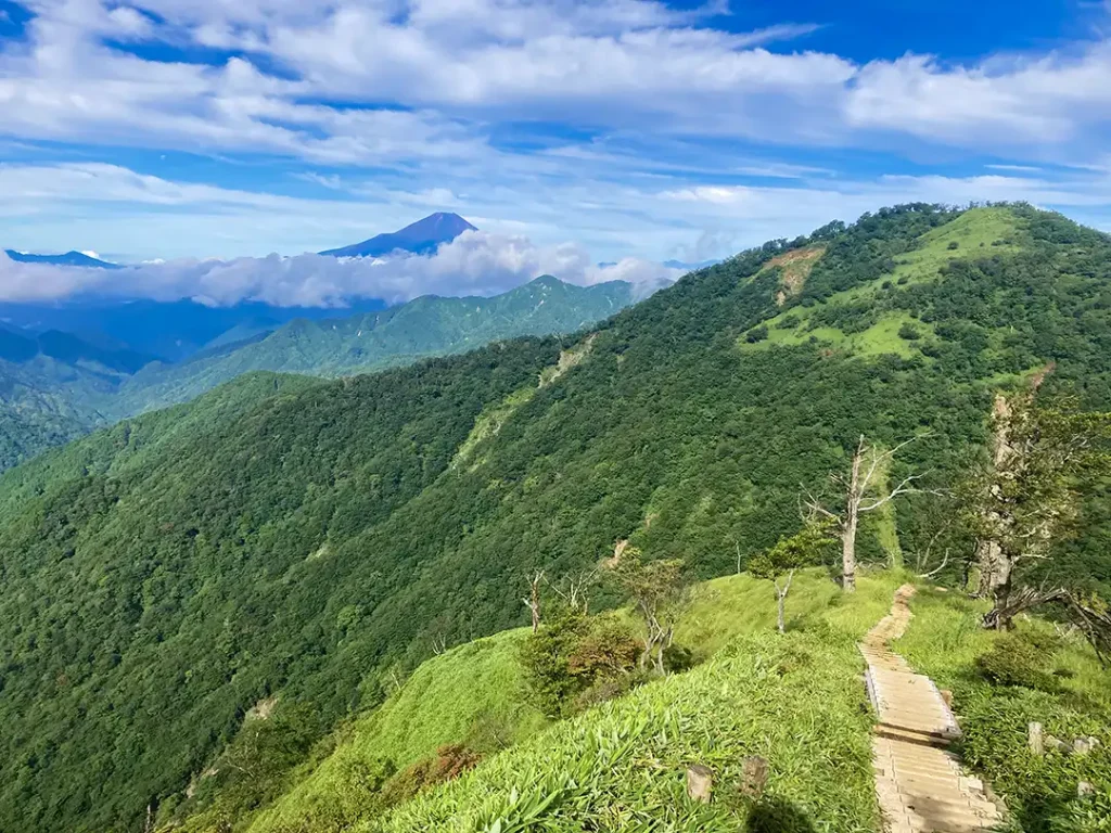 丹沢,鍋割山,塔ノ岳,丹沢山,蛭ヶ岳へ登山