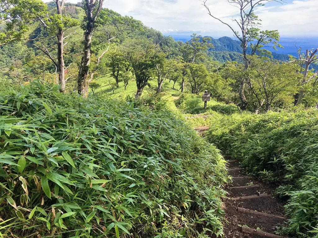 丹沢,鍋割山,塔ノ岳,丹沢山,蛭ヶ岳へ登山