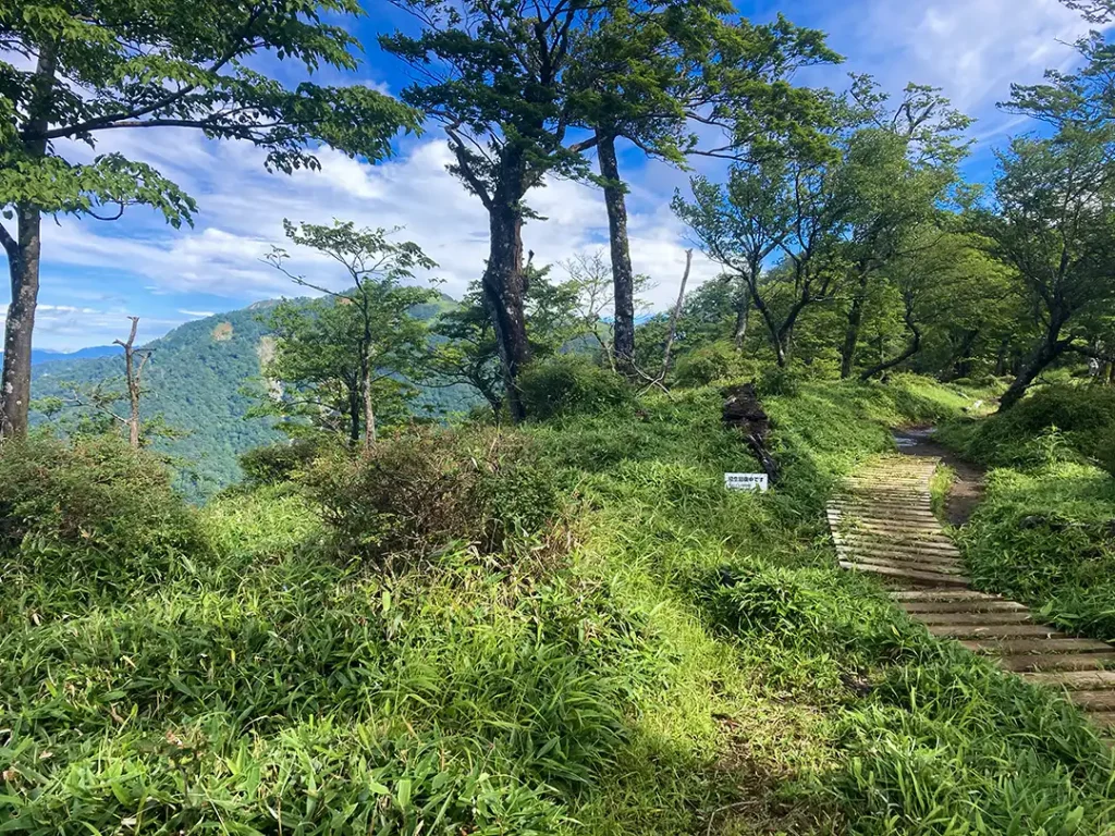 丹沢,鍋割山,塔ノ岳,丹沢山,蛭ヶ岳へ登山