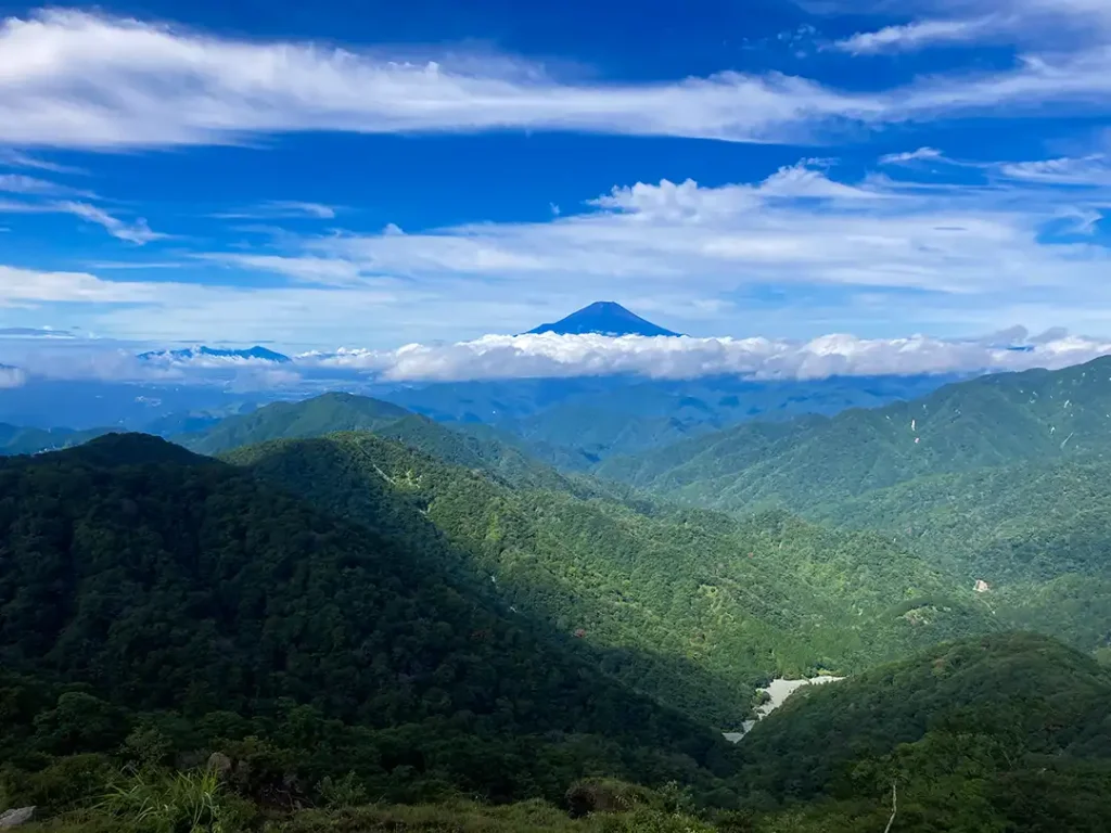 丹沢,鍋割山,塔ノ岳,丹沢山,蛭ヶ岳へ登山