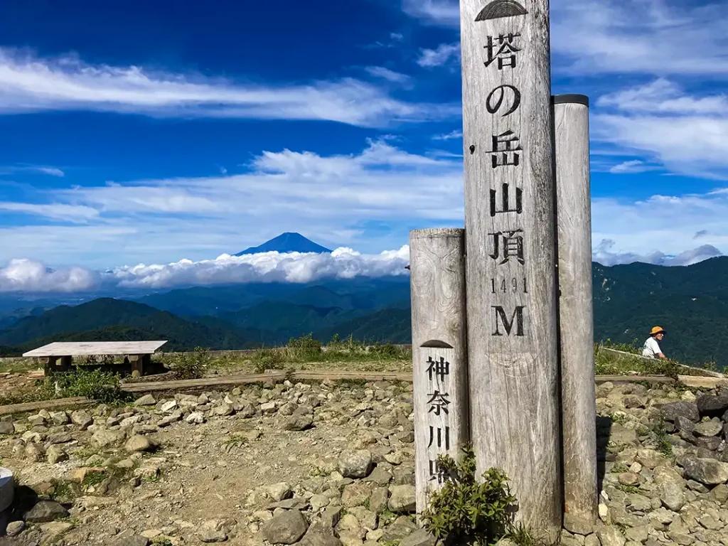 丹沢,鍋割山,塔ノ岳,丹沢山,蛭ヶ岳へ登山