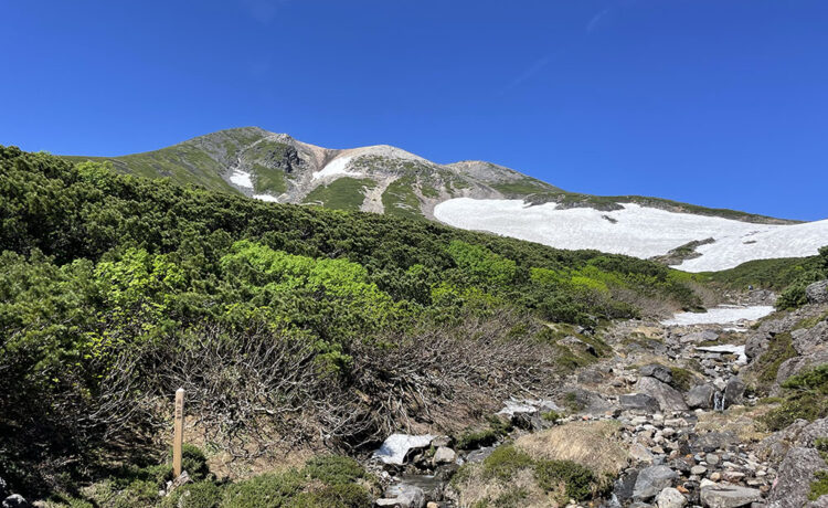 大雪渓と乗鞍岳